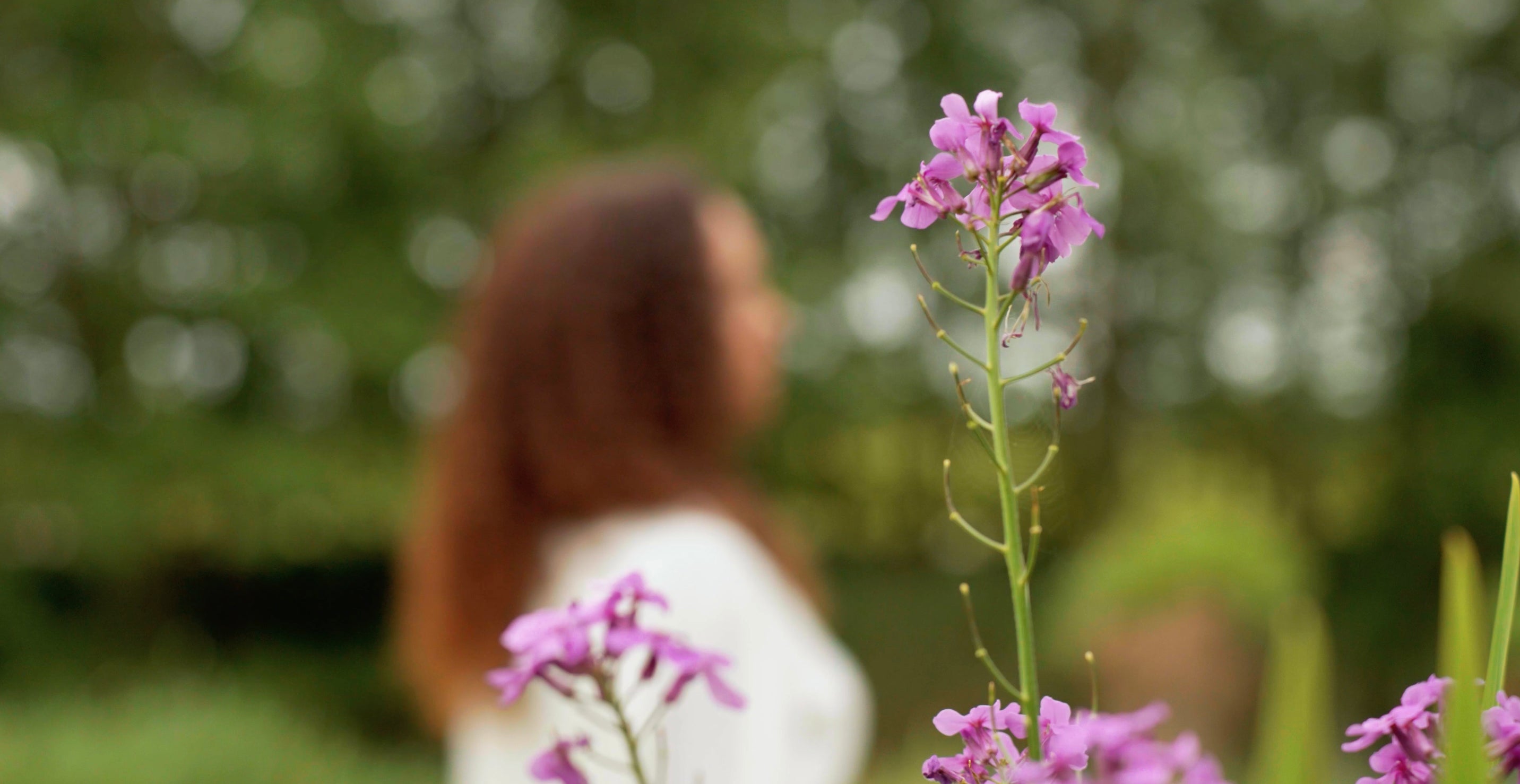 Botanical Skincare and Haircare